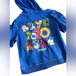 Disney Parks Disneyland 2020‎ Zip up Hoodie XL
